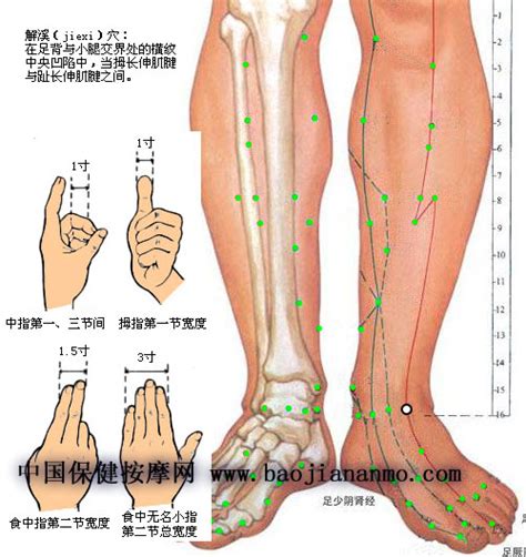 鼠溪穴位